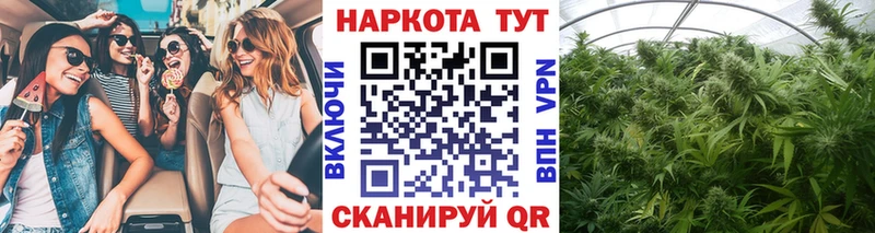 Купить наркотик аптеки Нюрба blacksprut tor МЕФ Галлюциногенные грибы Гашиш СК