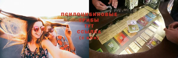 дживик Алексин